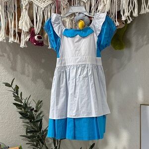💰$10 CLOSET SALE 💰 Alice in Wonderland Blue and White costume